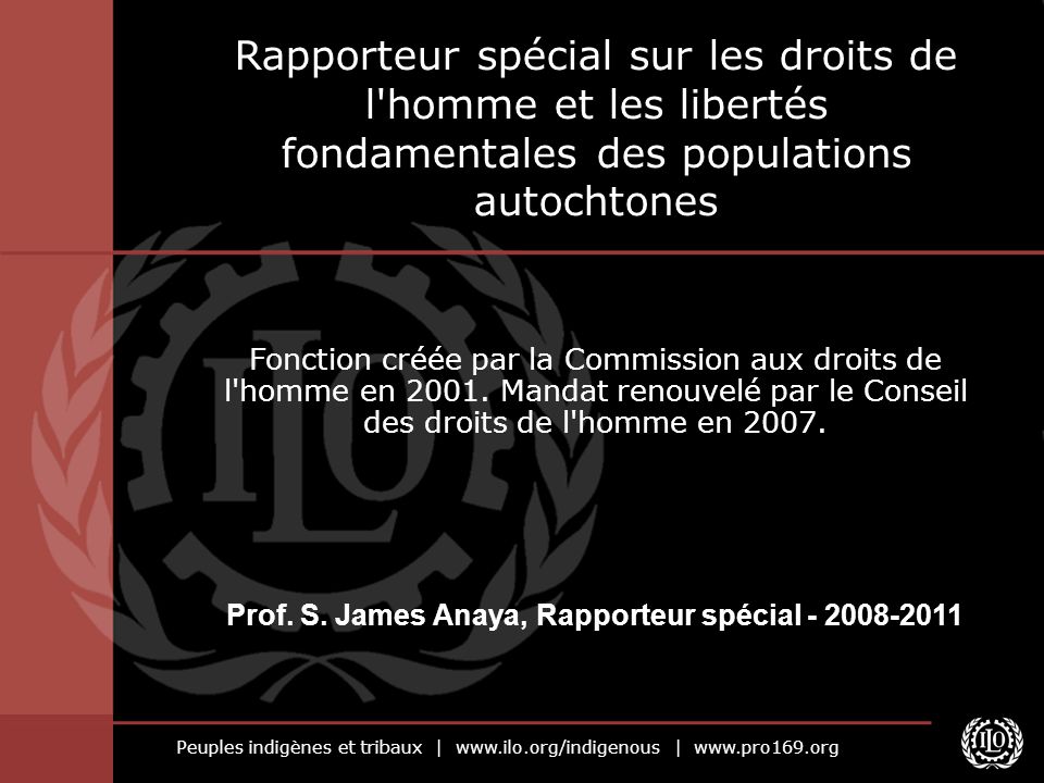 Prof. S. James Anaya, Rapporteur spécial