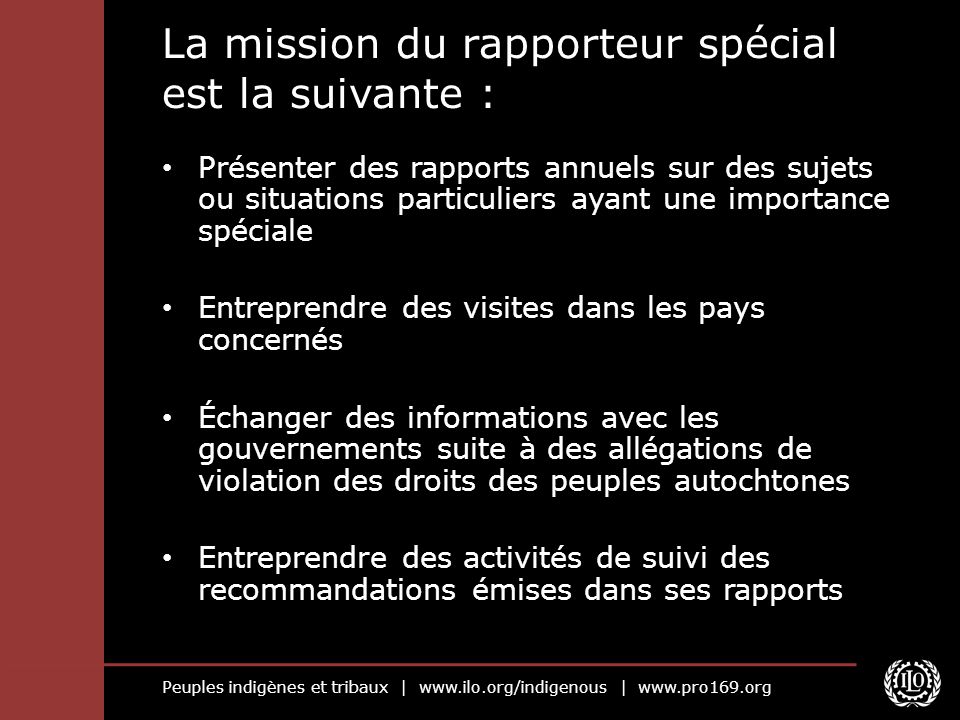 La mission du rapporteur spécial est la suivante :