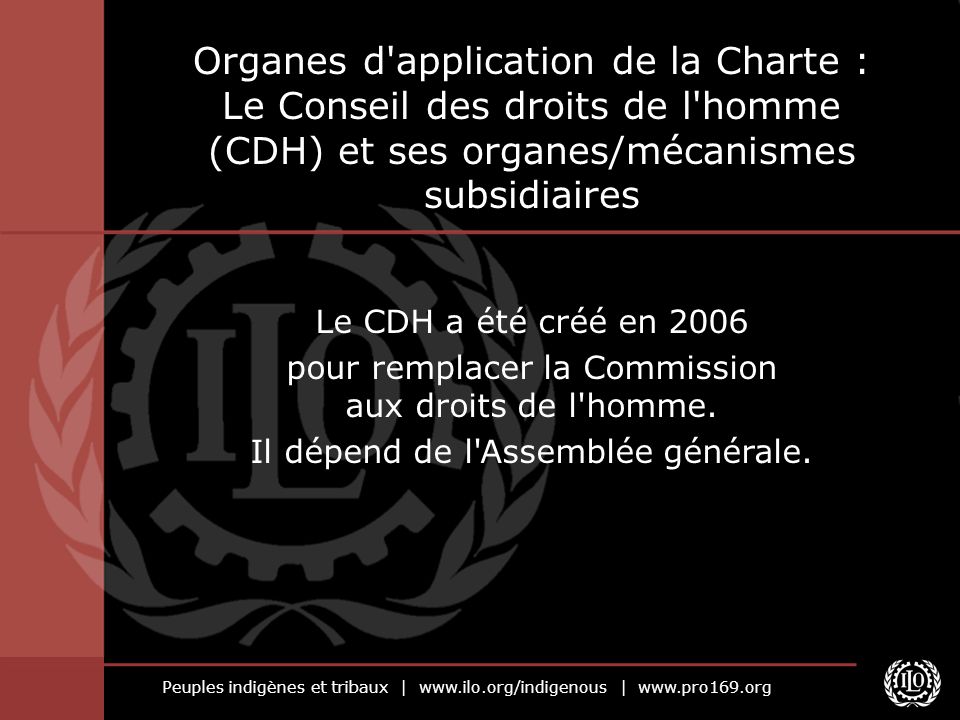 Organes d application de la Charte : Le Conseil des droits de l homme (CDH) et ses organes/mécanismes subsidiaires