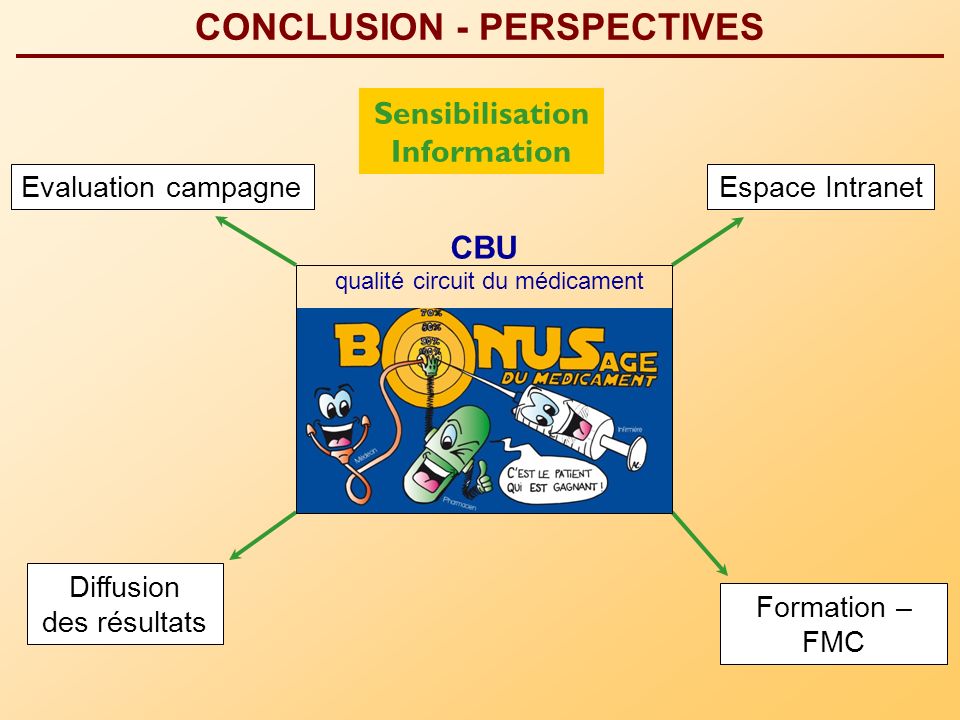 CONCLUSION - PERSPECTIVES