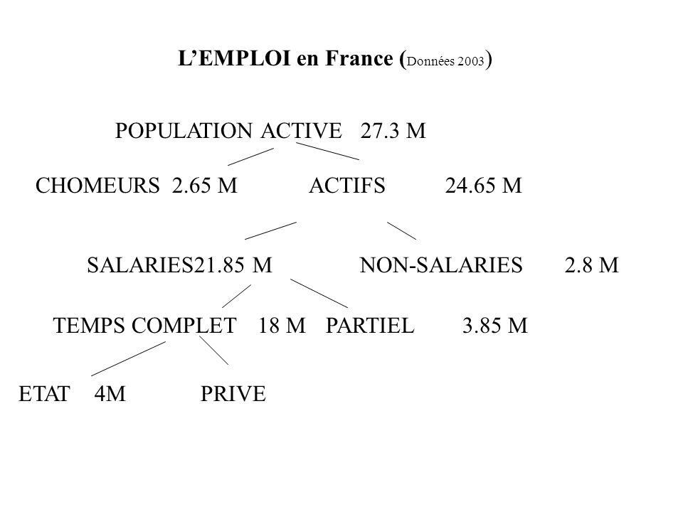 L’EMPLOI en France (Données 2003)