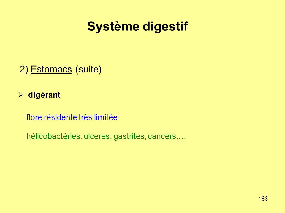 Système digestif 2) Estomacs (suite) digérant