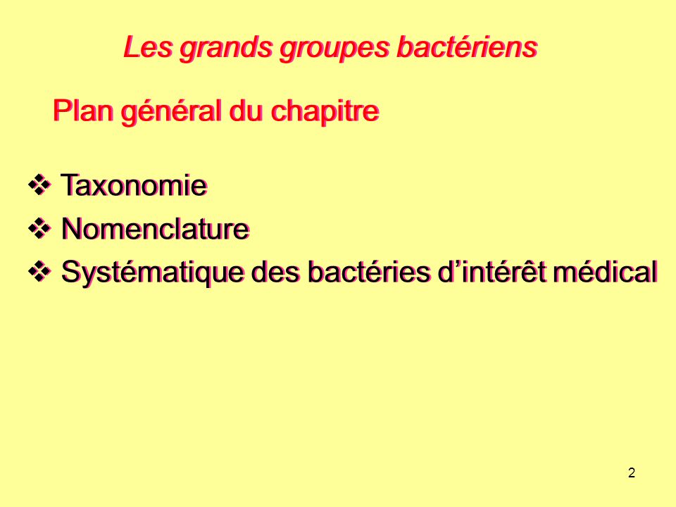 Les grands groupes bactériens
