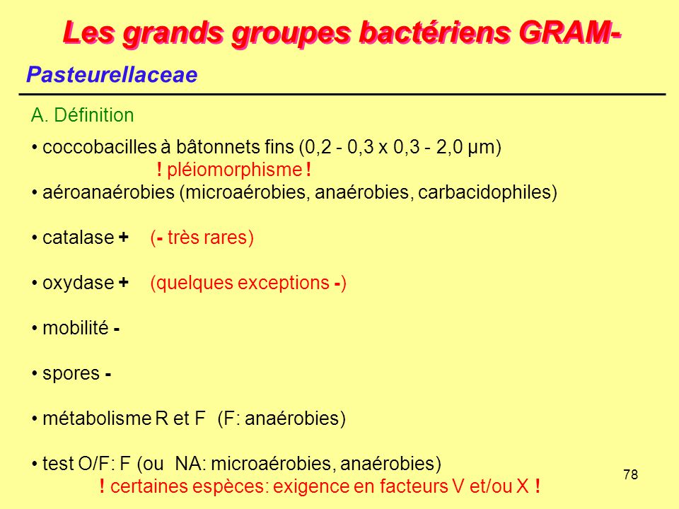 Les grands groupes bactériens GRAM-