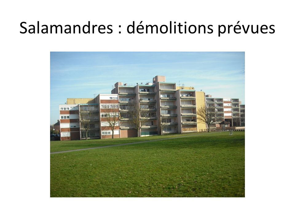 Salamandres : démolitions prévues
