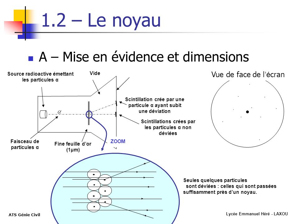 1.2 – Le noyau A – Mise en évidence et dimensions