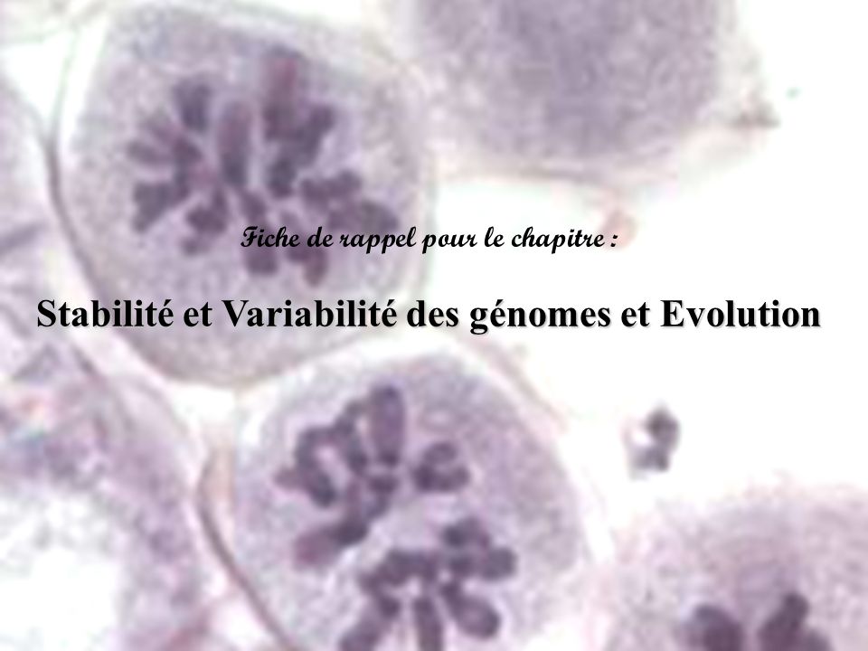 Stabilité et Variabilité des génomes et Evolution