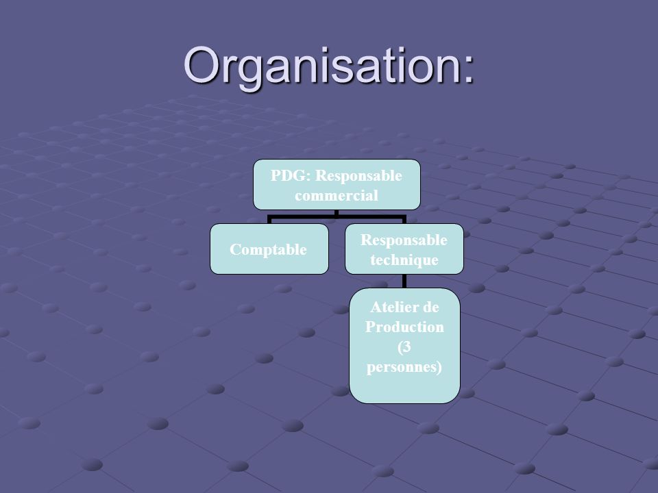 Organisation: