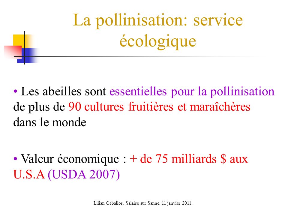 La pollinisation: service écologique