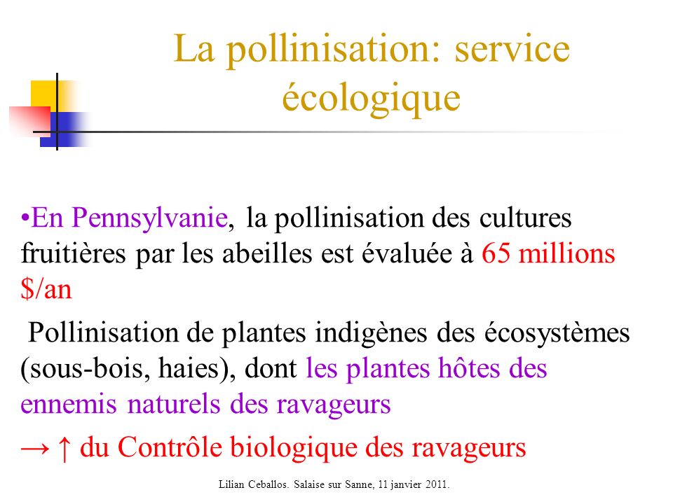 La pollinisation: service écologique
