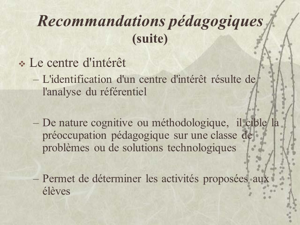 Recommandations pédagogiques (suite)