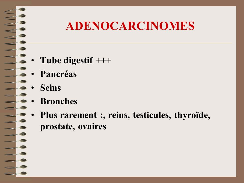 ADENOCARCINOMES Tube digestif +++ Pancréas Seins Bronches