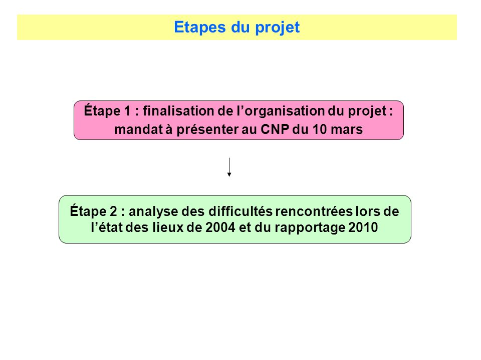 Etapes du projet Étape 1 : finalisation de l’organisation du projet : mandat à présenter au CNP du 10 mars.