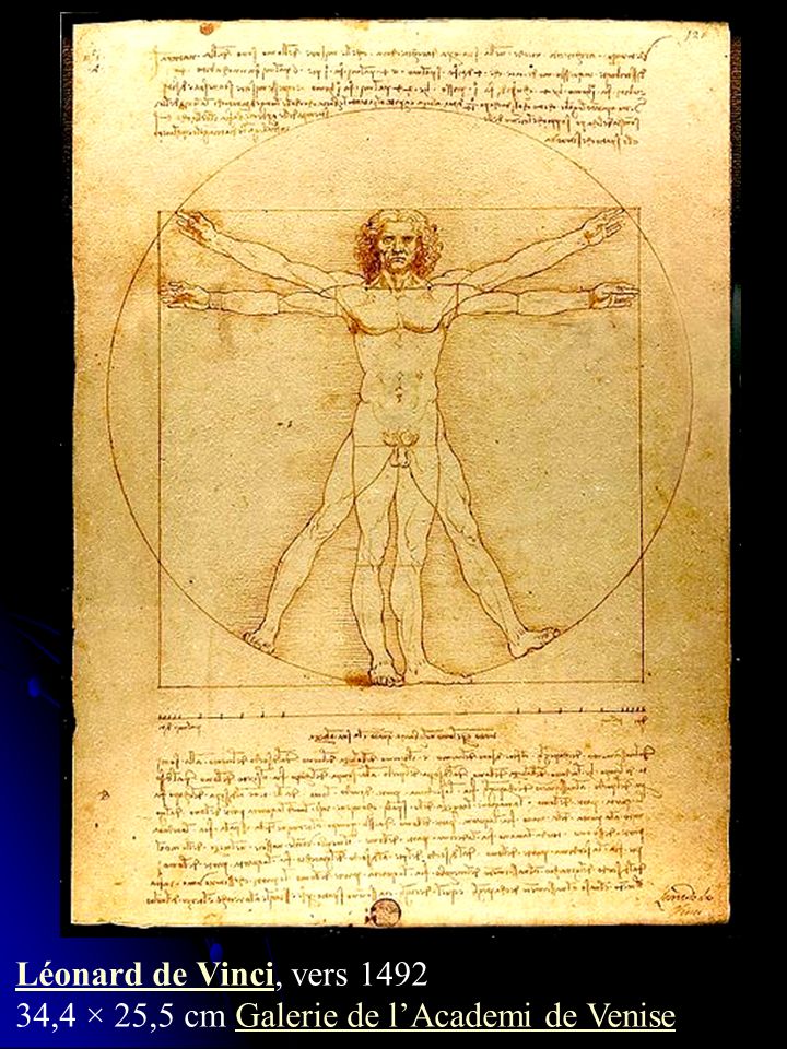 Léonard de Vinci, vers ,4 × 25,5 cm Galerie de l’Academi de Venise