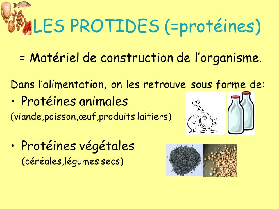 LES PROTIDES (=protéines)