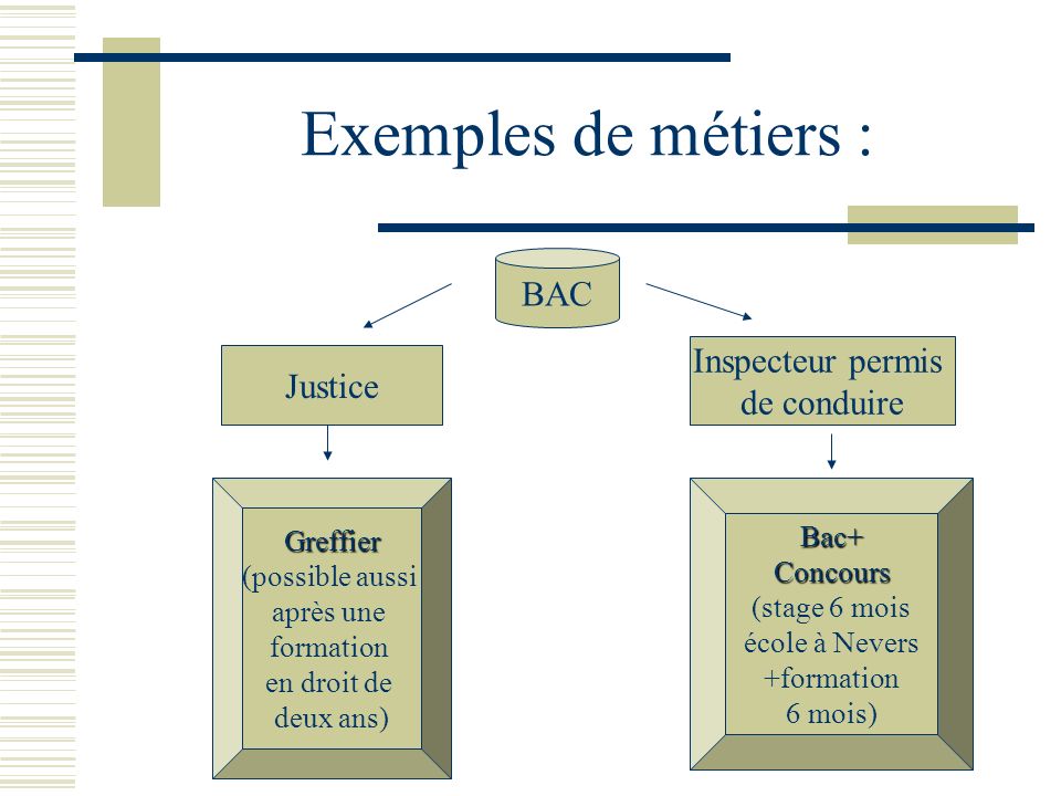Exemples de métiers : BAC Inspecteur permis Justice de conduire