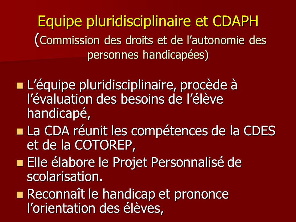 Equipe pluridisciplinaire et CDAPH (Commission des droits et de l’autonomie des personnes handicapées)