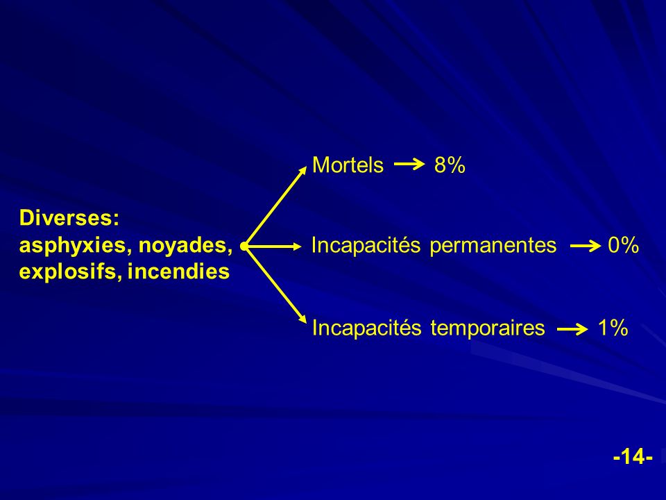 Mortels 8% Diverses: asphyxies, noyades, explosifs, incendies. Incapacités permanentes 0%