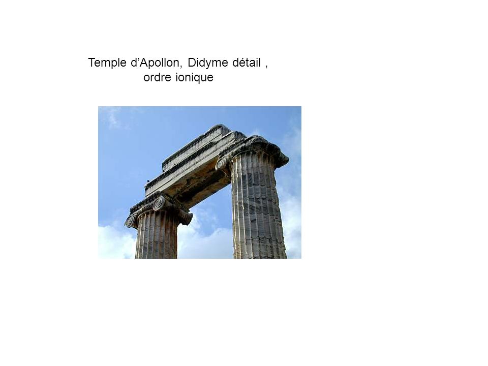 Temple d’Apollon, Didyme détail , ordre ionique