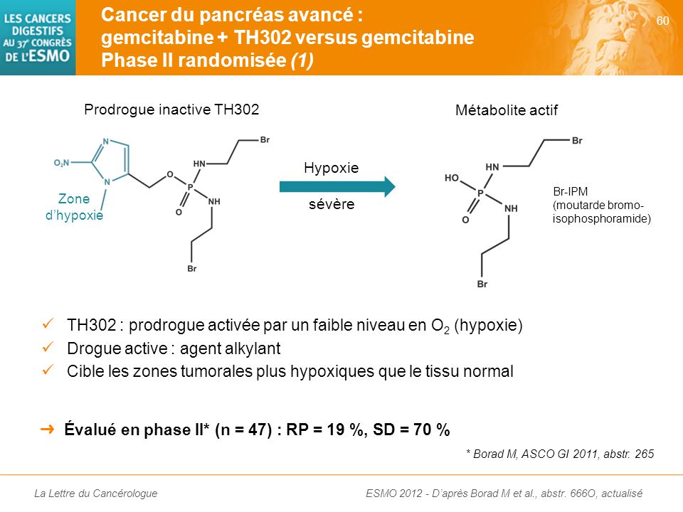 Cancer du pancréas avancé : gemcitabine + TH302 versus gemcitabine Phase II randomisée (2)
