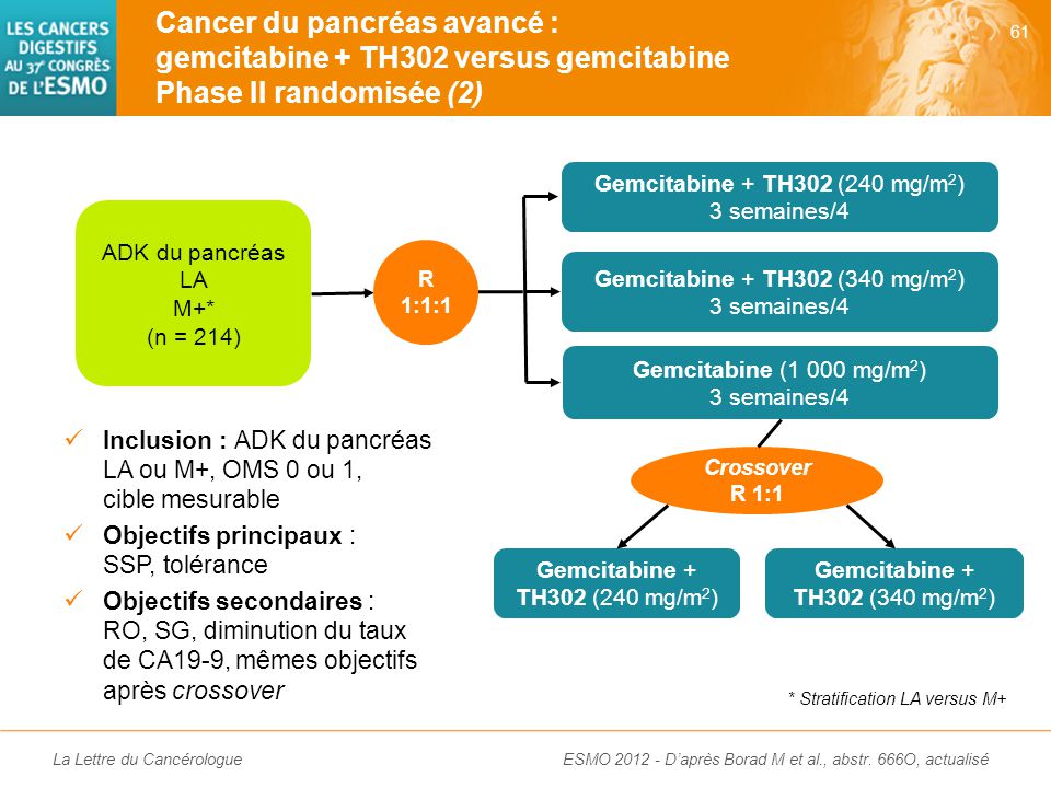 Cancer du pancréas avancé : gemcitabine + TH302 versus gemcitabine Phase II randomisée (3)