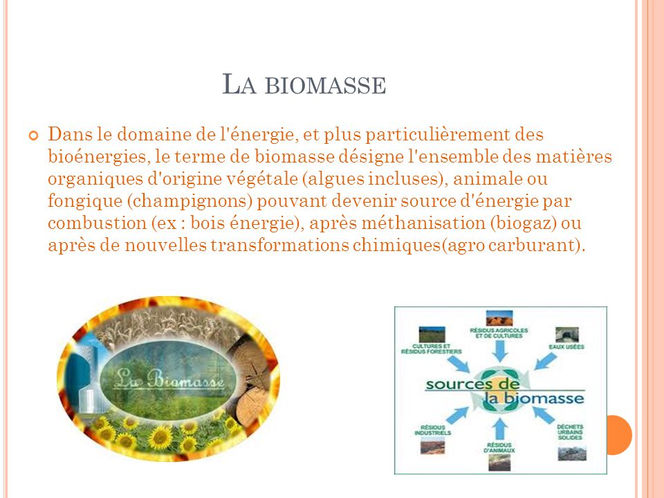 La biomasse