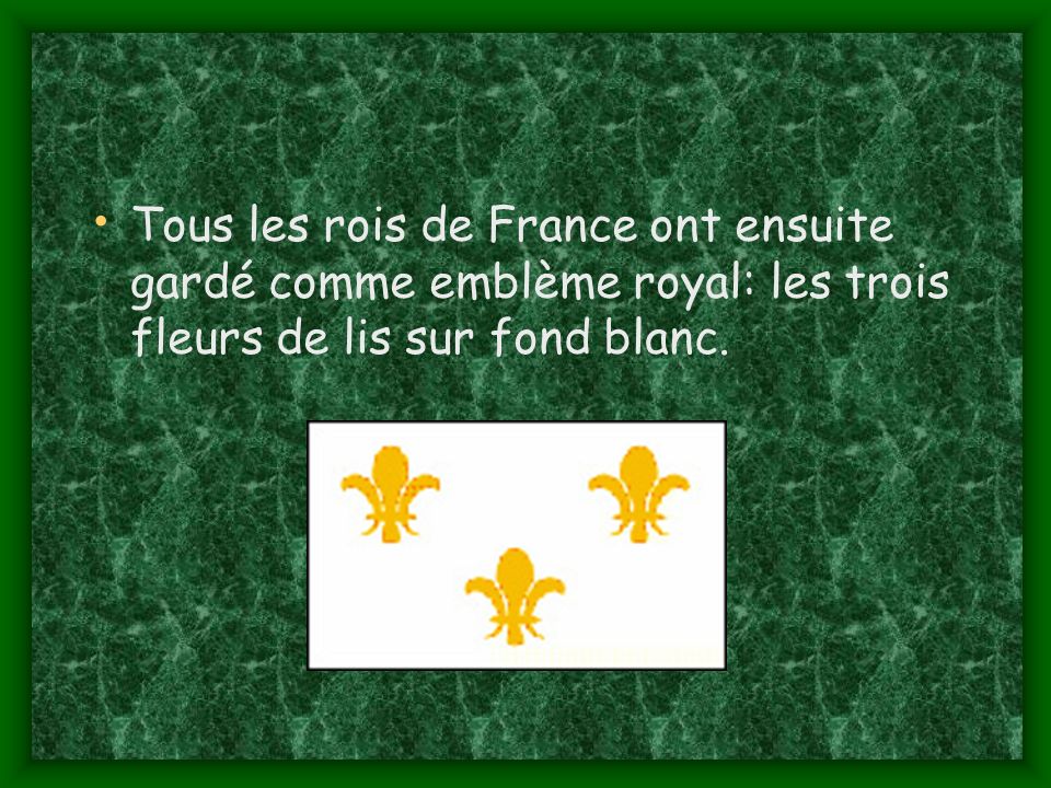 Tous les rois de France ont ensuite gardé comme emblème royal: les trois fleurs de lis sur fond blanc.