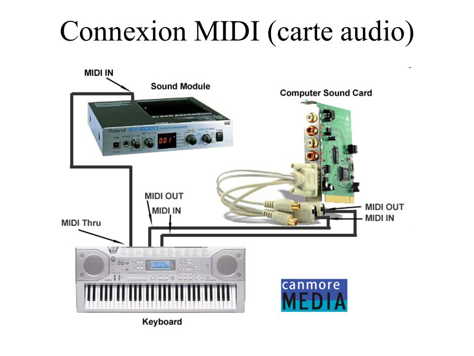 Connexion MIDI (carte audio)