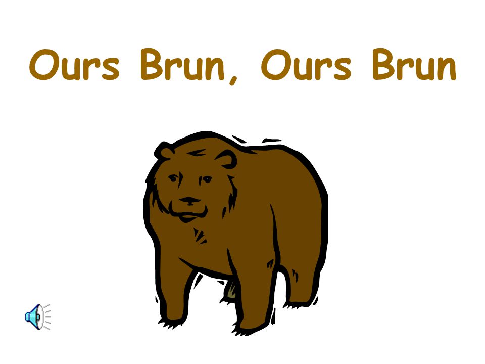 Ours Brun, Ours Brun