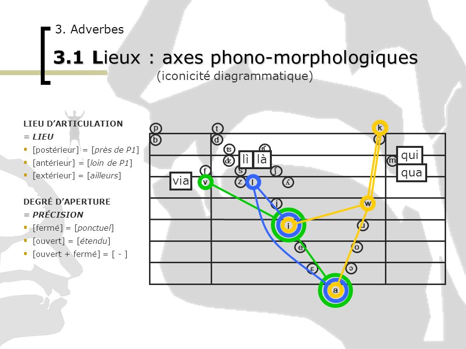 3.1 Lieux : axes phono-morphologiques
