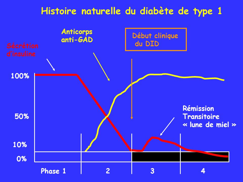 Histoire naturelle du diabète de type 1