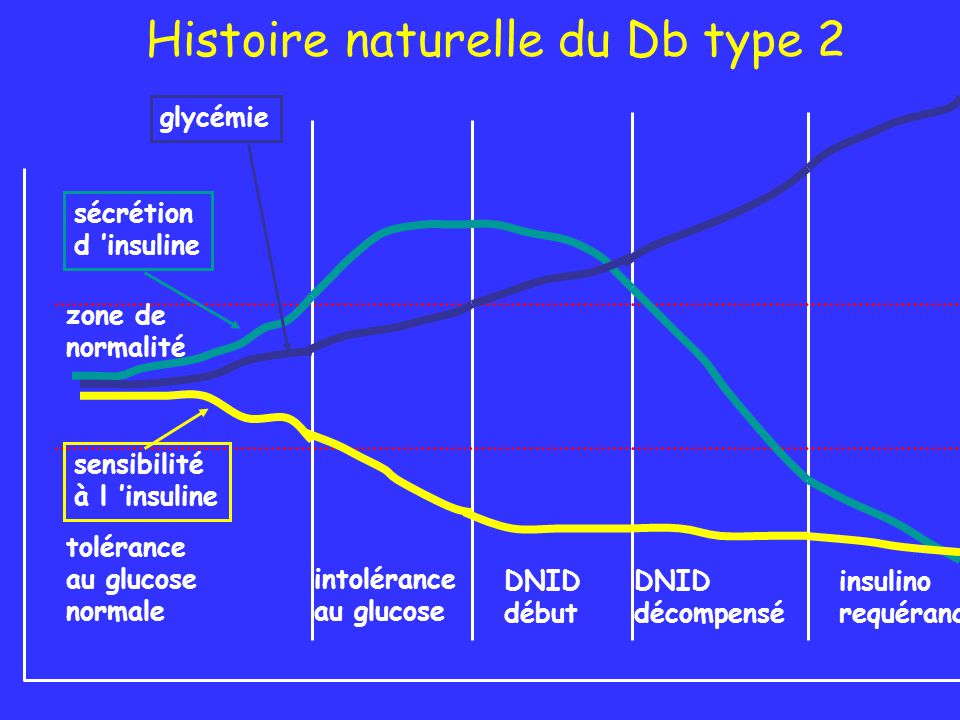 Histoire naturelle du Db type 2