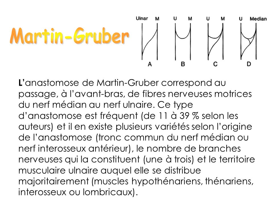 Martin-Gruber