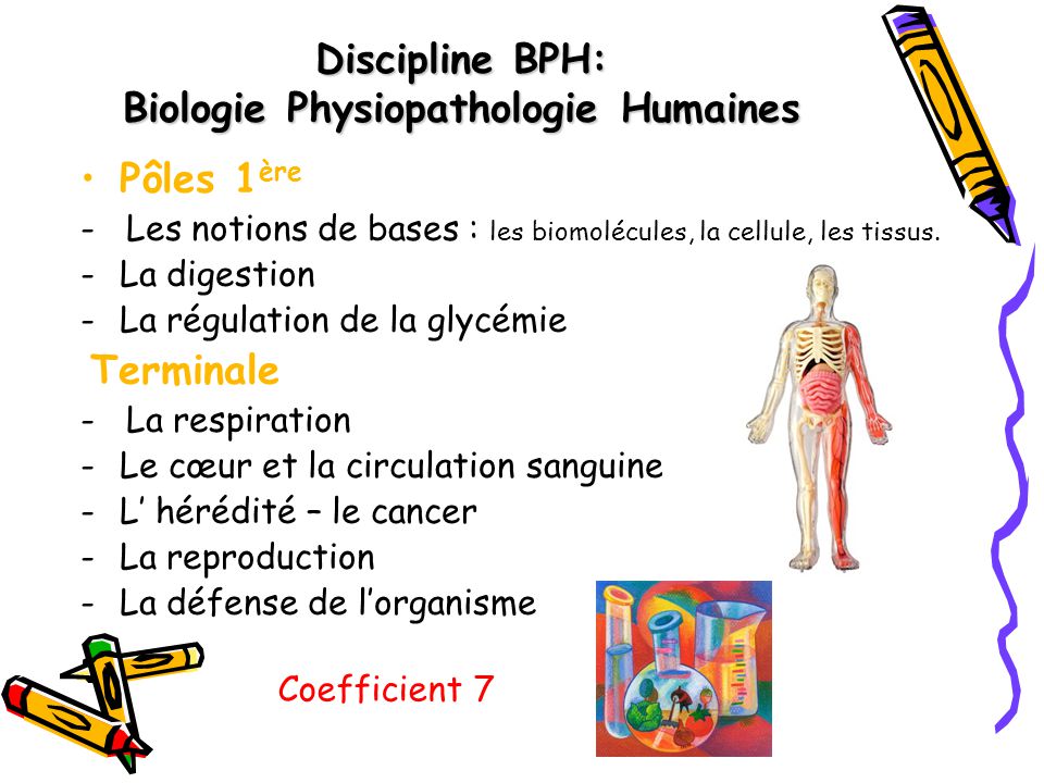 Discipline BPH: Biologie Physiopathologie Humaines