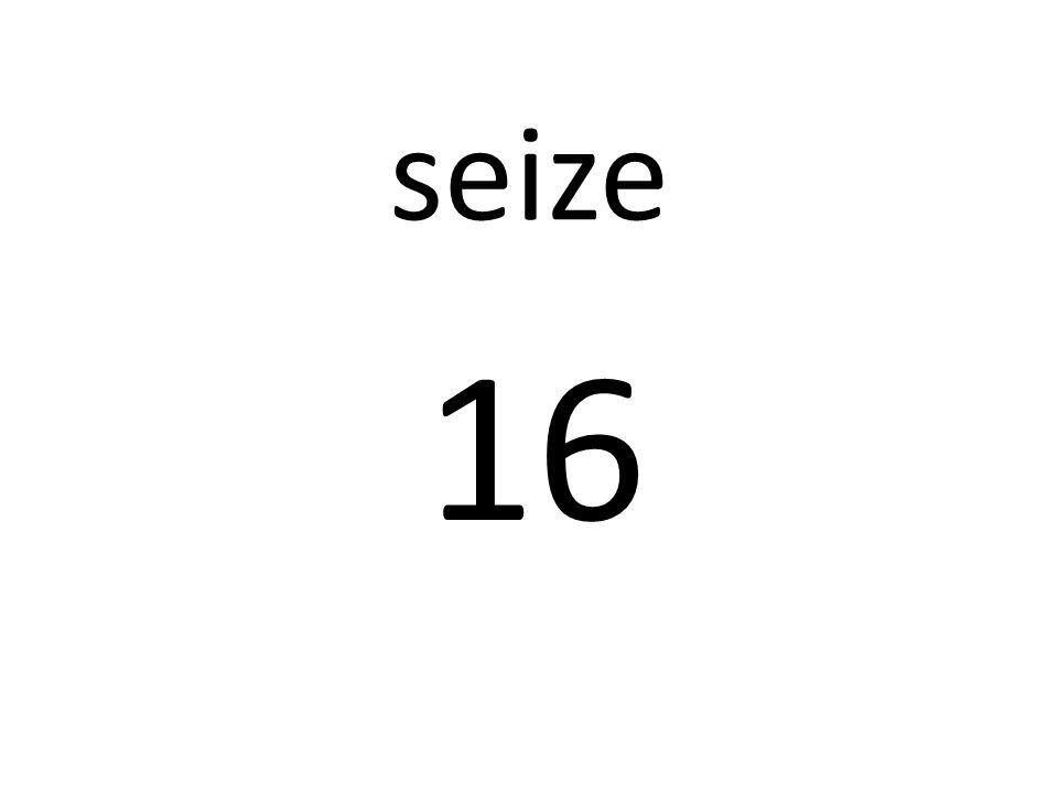 seize 16