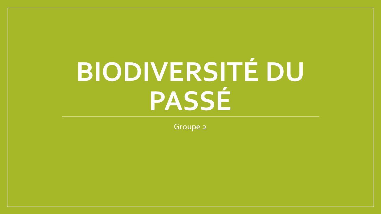 Biodiversité du passé Groupe 2