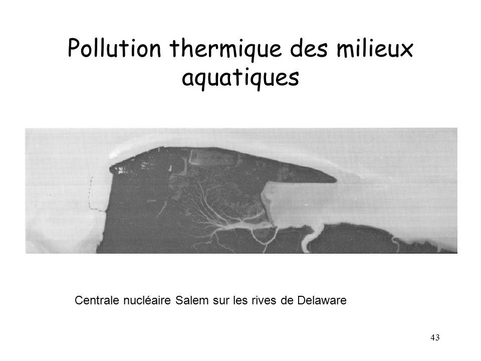 Pollution thermique des milieux aquatiques