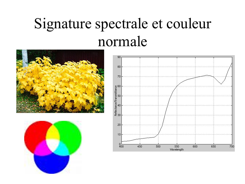 Signature spectrale et couleur normale