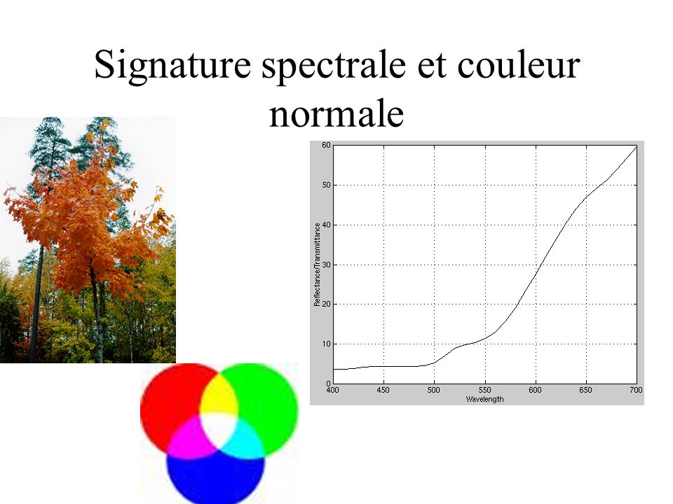 Signature spectrale et couleur normale