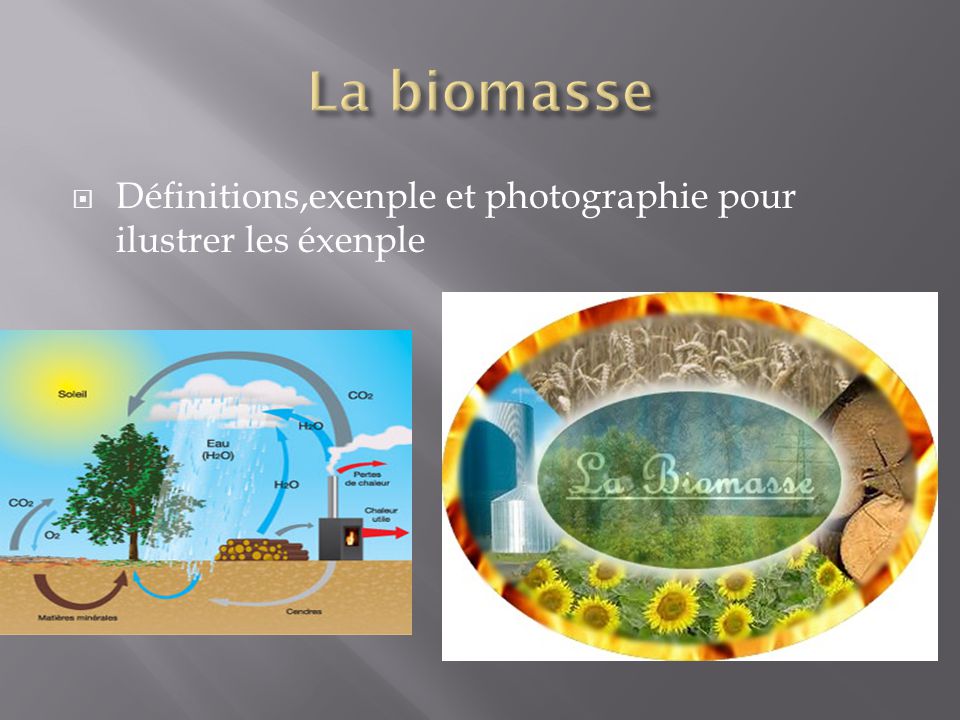 La biomasse Définitions,exenple et photographie pour ilustrer les éxenple Fait par nadir