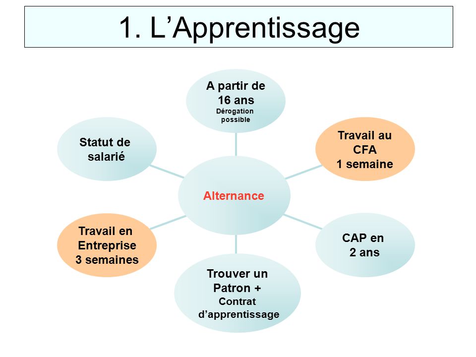 1. L’Apprentissage A partir de 16 ans Travail au Statut de CFA salarié