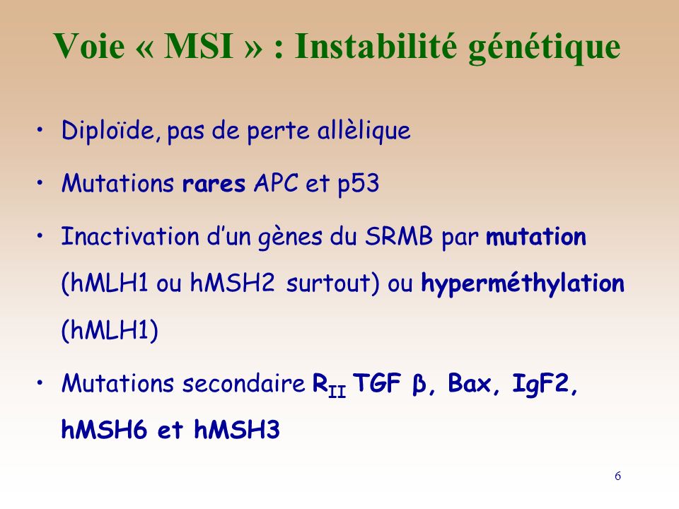 Voie « MSI » : Instabilité génétique