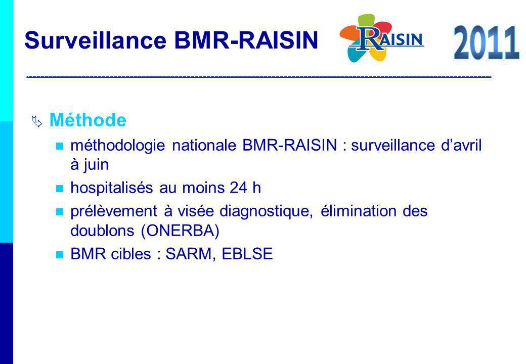 Surveillance BMR-RAISIN 2011