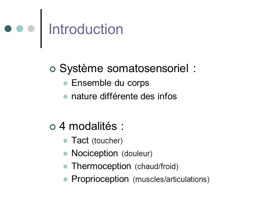 Introduction Système somatosensoriel : 4 modalités : Ensemble du corps