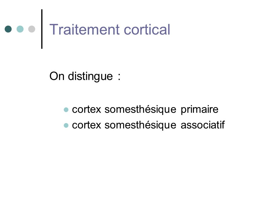 Traitement cortical On distingue : cortex somesthésique primaire