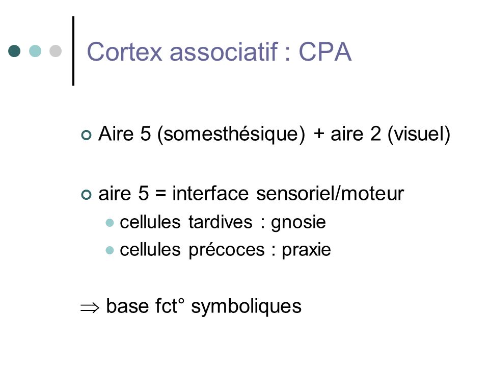 Cortex associatif : CPA