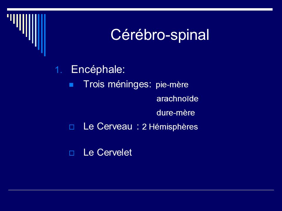 Cérébro-spinal Encéphale: Trois méninges: pie-mère arachnoïde