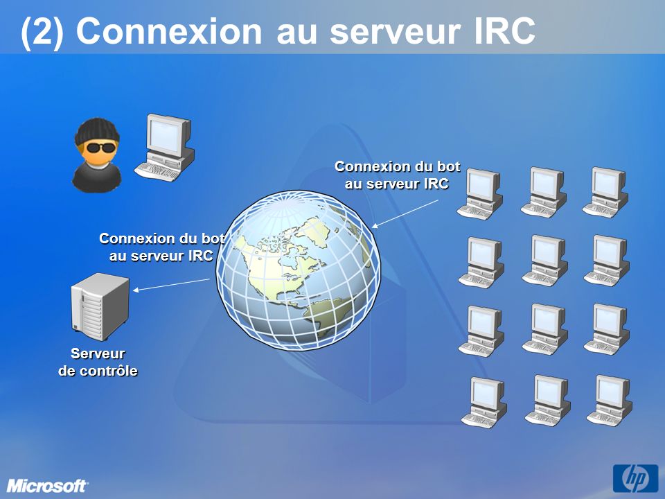 (2) Connexion au serveur IRC
