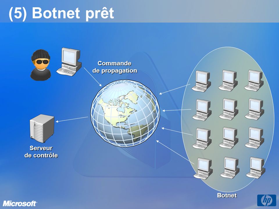 (5) Botnet prêt Commande de propagation Serveur de contrôle Botnet