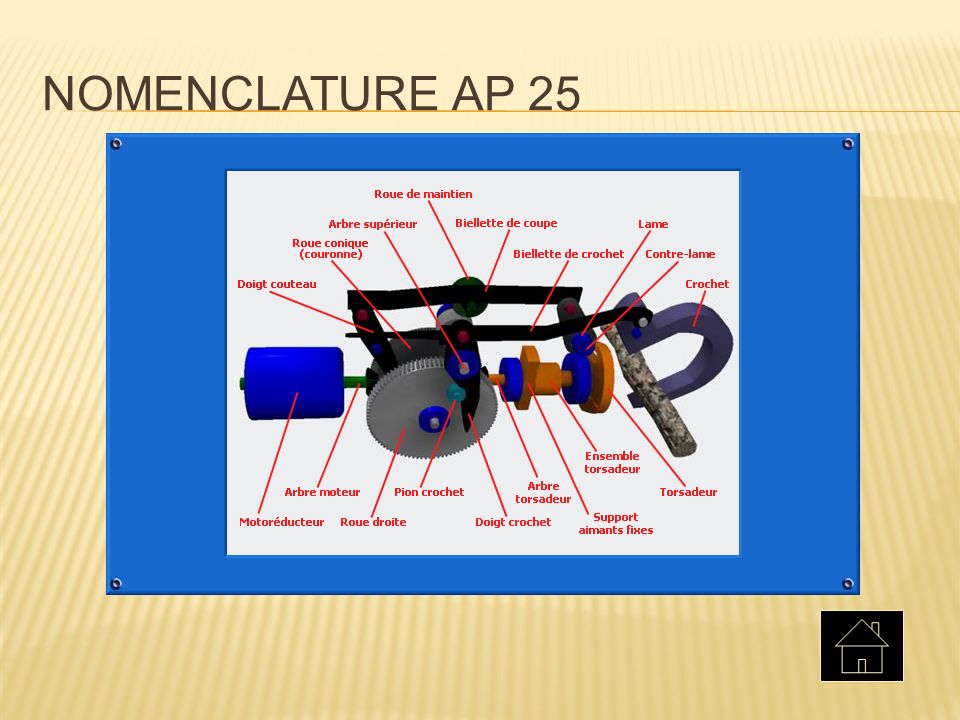 Nomenclature AP 25